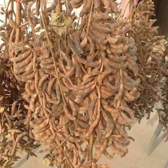 微信截圖_20240415110338