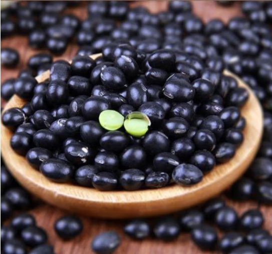 微信截圖_20240415110432