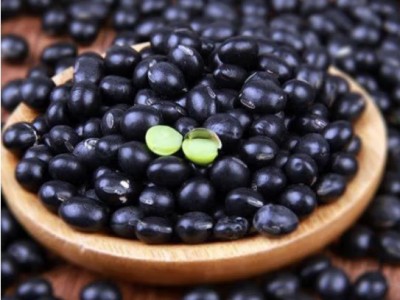 東北綠心黑豆種子農家豆子類豆漿發