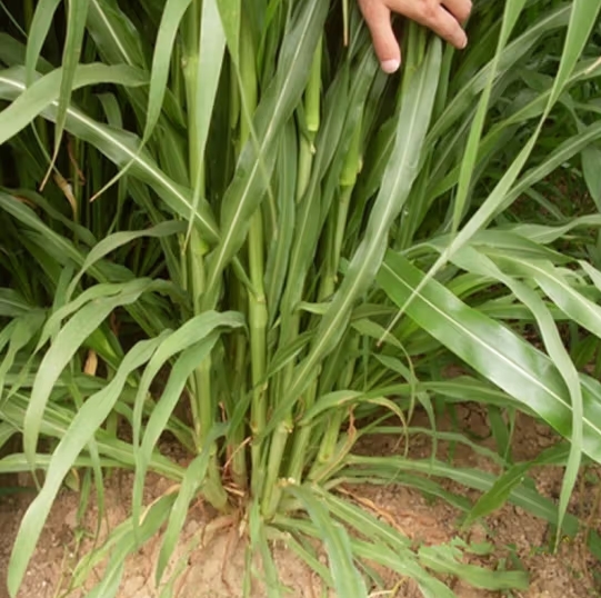 微信截圖_20240415110701