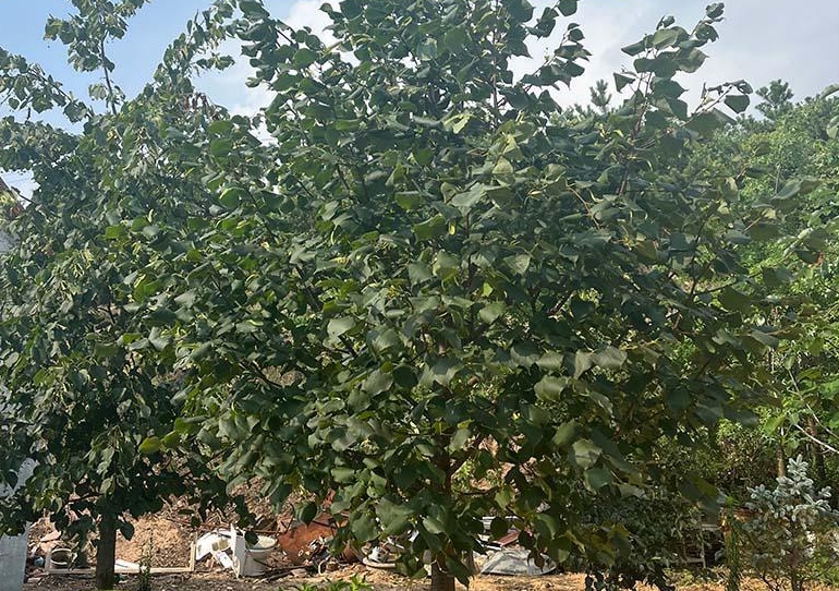 微信截圖_20240415133625