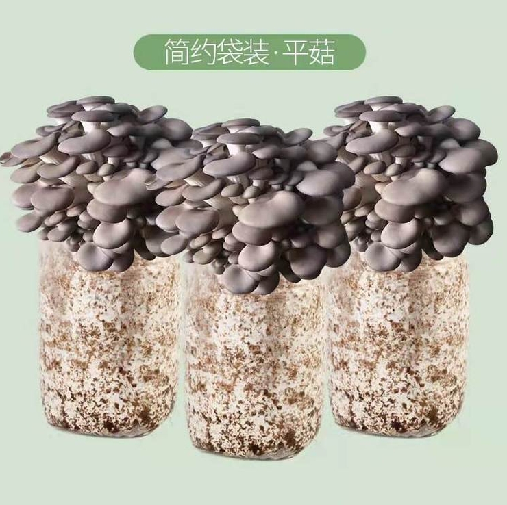 微信截圖_20240415135303