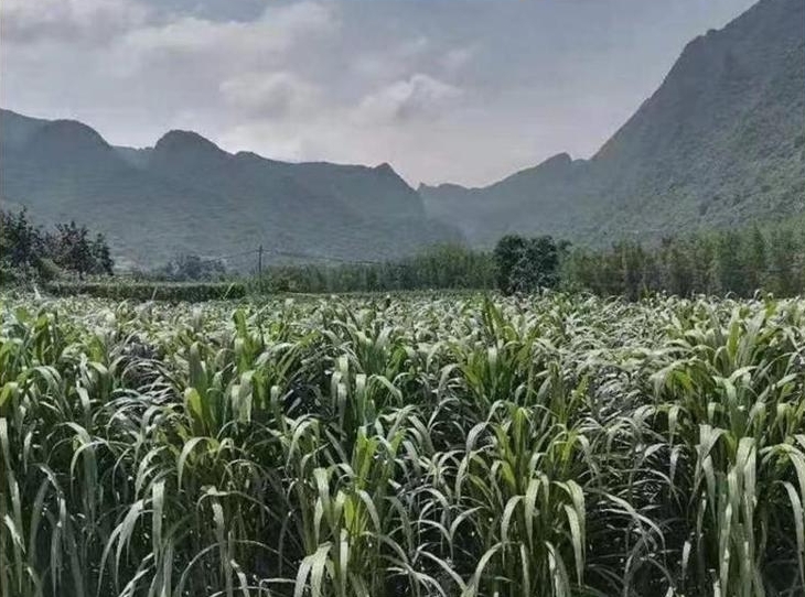 微信截圖_20240415140214