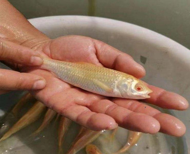 微信截圖_20240415140643